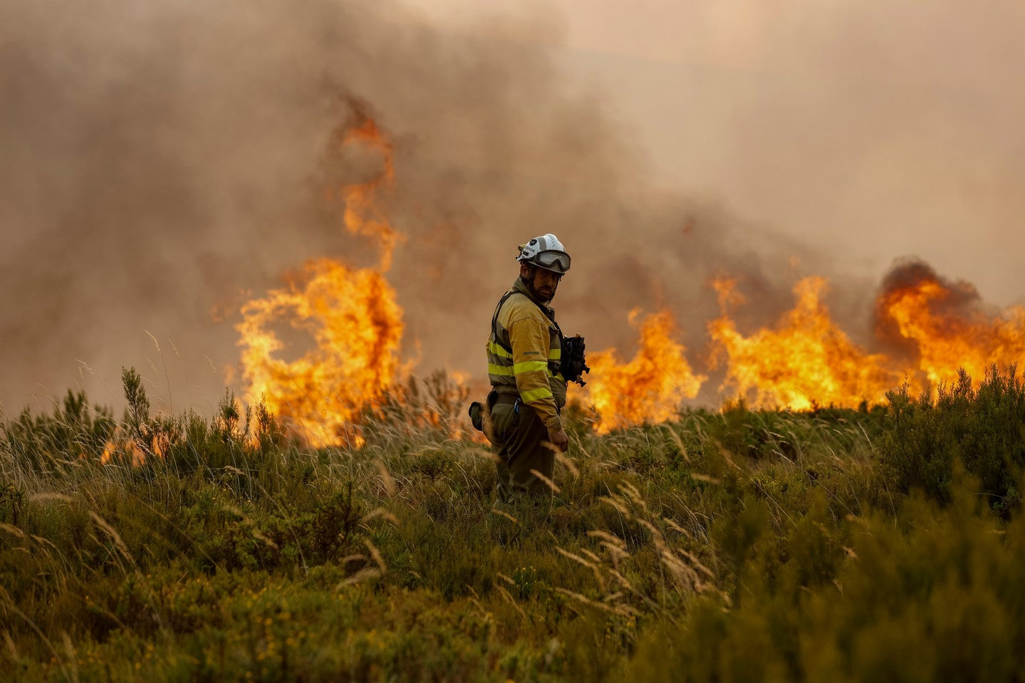 Wildland firefighter in yellow helmet standing in dry grass facing a wall of flames and smoke